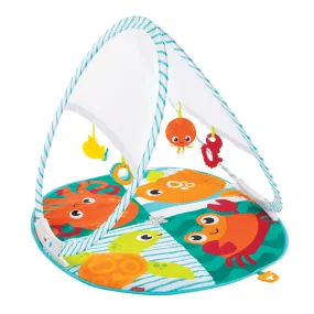 Fisher Price Draagbare Gym + 4 Speeltjes