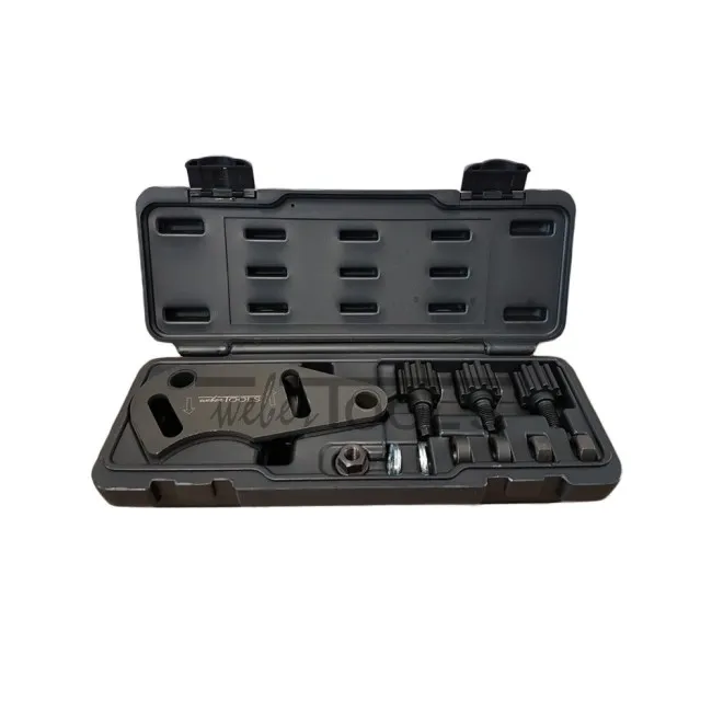 WT2002 WEBER TOOLS TIMINGSET RENAULT 1.8 EN 2.0 16V